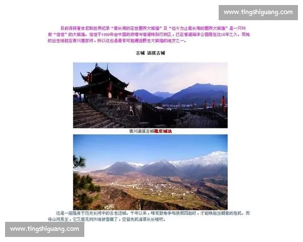 探索世界纪录之最：中国与全球国家纪录的历史与突破